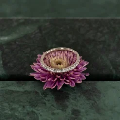ALLIANCE DIAMOND RING - 0.25ct - WG