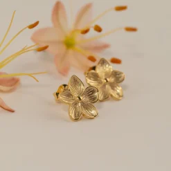 ANE GOLDEN STUD EARRING