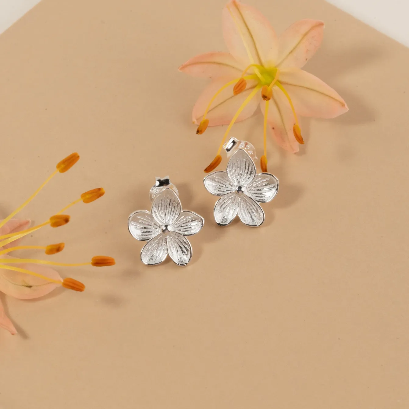 ANE SILVER STUD EARRING