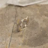 CATALINA CRYSTAL SOLID GOLD RING