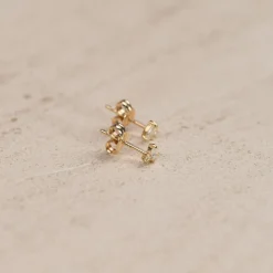 CIELA CRYSTAL SOLID GOLD EARRING
