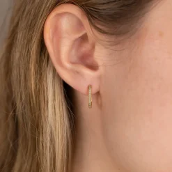 DANIA CRYSTAL GOLDEN HUGGIE EARRING