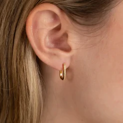 DANIA CRYSTAL GOLDEN HUGGIE EARRING