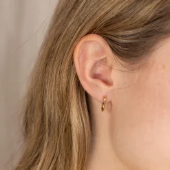 DANIA GOLDEN HUGGIE EARRING