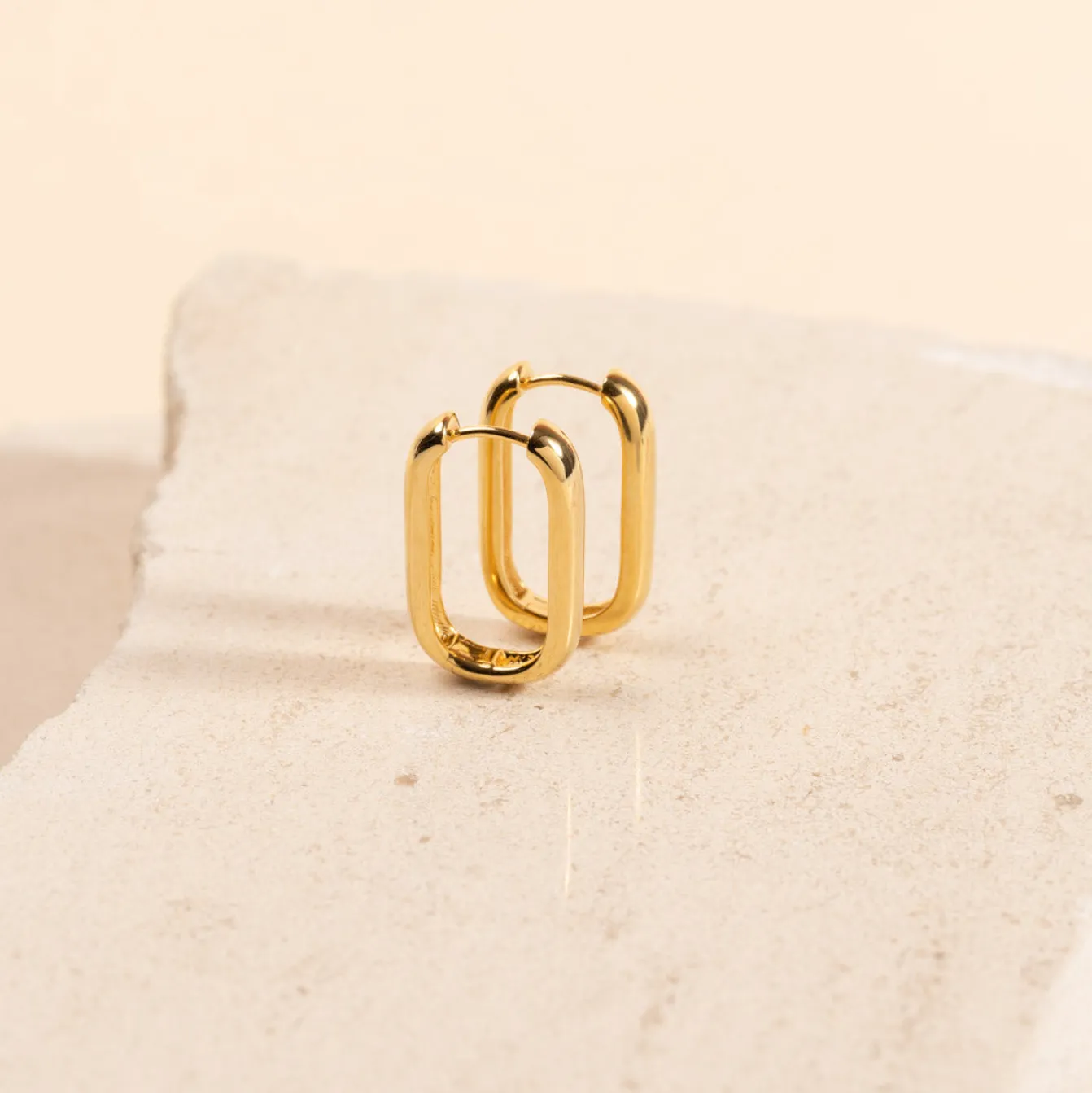 DANIELLE LARGE GOLDEN CREOL EARRING