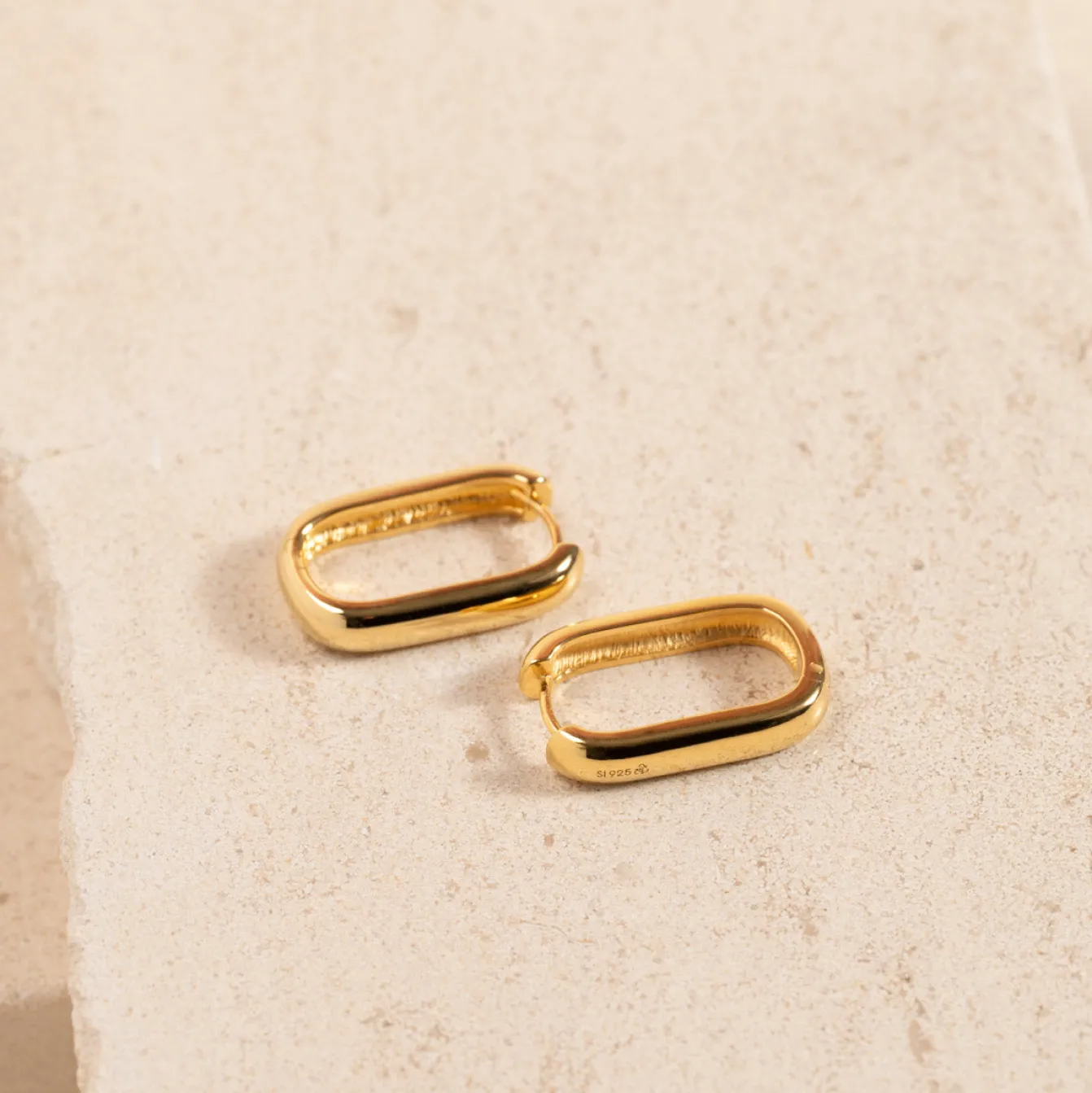DANIELLE LARGE GOLDEN CREOL EARRING
