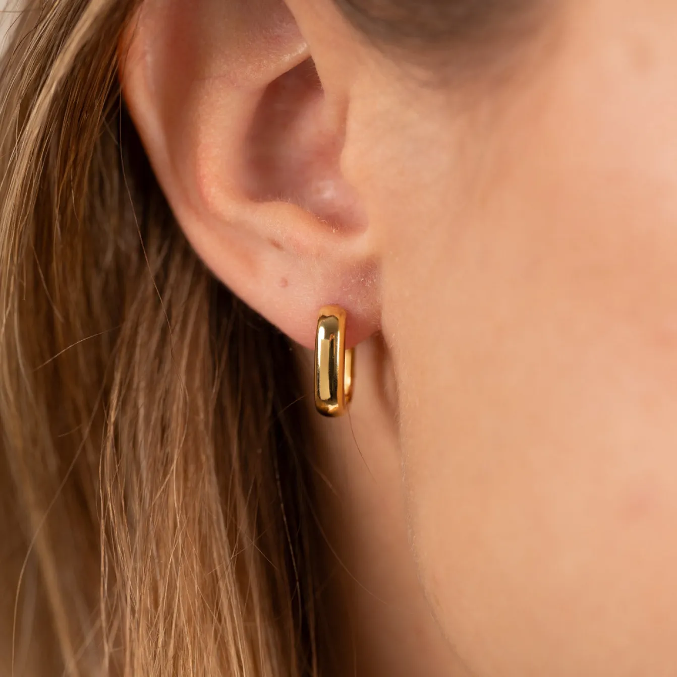 DANIELLE SMALL GOLDEN CREOL EARRING