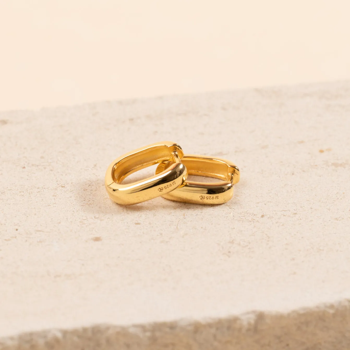 DANIELLE SMALL GOLDEN CREOL EARRING
