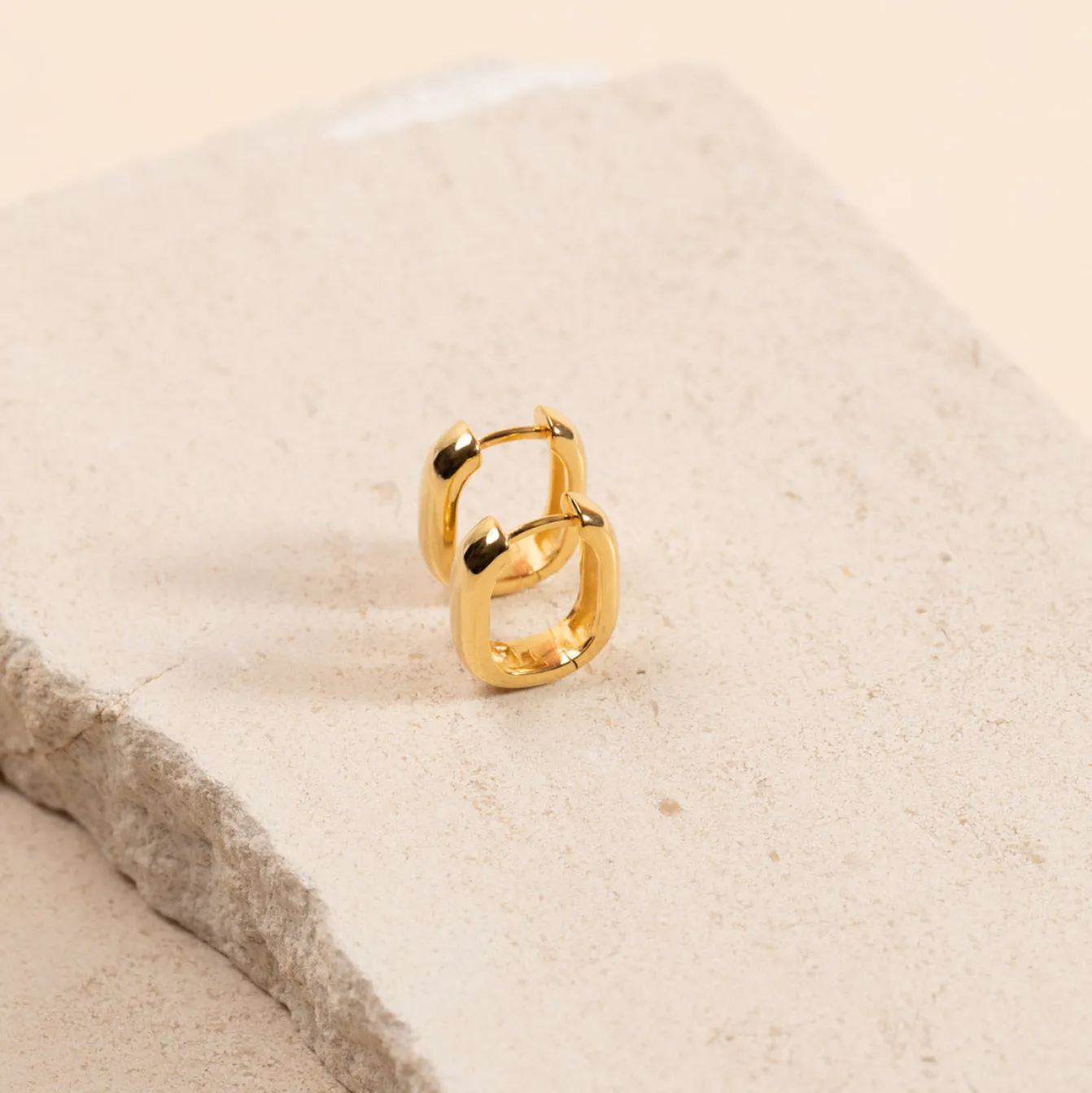 DANIELLE SMALL GOLDEN CREOL EARRING