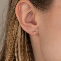 Ena Guld Øreringe 3mm - Sisi Copenhagen