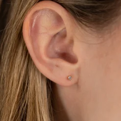 Ena Guld Øreringe 2mm - Sisi Copenhagen