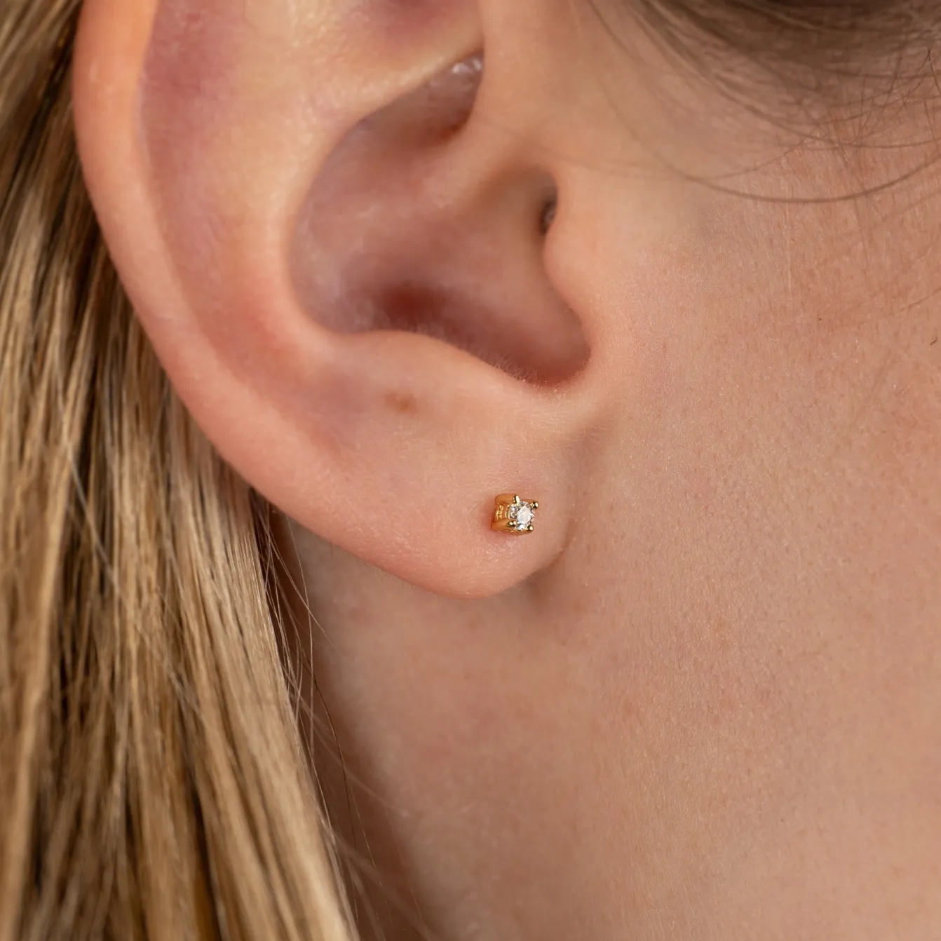 Ena Guld Øreringe 2mm - Sisi Copenhagen