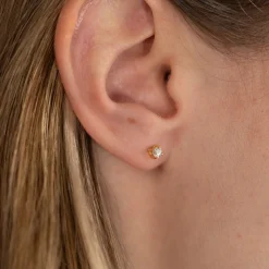 Ena Guld Øreringe 3mm - Sisi Copenhagen