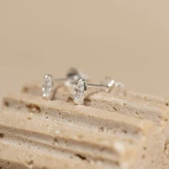 FELINE CRYSTAL SILVER EARRING