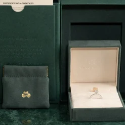 HIDDEN-HALO DIAMOND RING - 1.25ct - WG