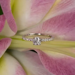 HIDDEN-HALO DIAMOND RING - 0.8ct - WG
