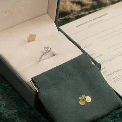 HIDDEN-HALO DIAMOND RING - 1.25ct - WG