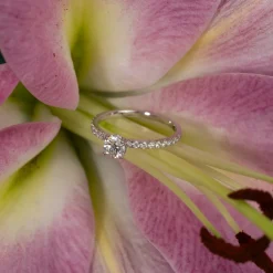 HIDDEN-HALO DIAMOND RING - 0.8ct - WG
