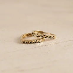 RAMONA SOLID GOLD HUGGIE EARRING