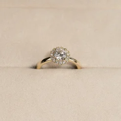 SIMPLE ROUND HALO DIAMOND RING - 1.0ct - YG