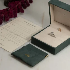 SIMPLE ROUND HALO DIAMOND RING - 1.0ct - WG