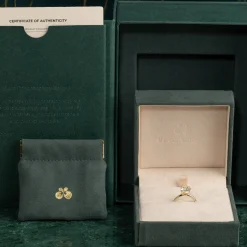 SOLITAIRE OVAL-CUT DIAMOND RING - 3.0ct - YG